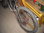 DSCN0462.jpg