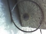 05-10-08_1210.jpg