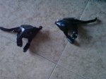 DSC02151.JPG