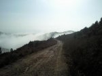Samgsung0020.jpg