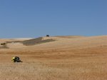 DSCN0155 (Large).JPG