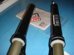 DSC00454.jpg
