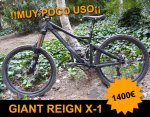 giant-reignX1.jpg
