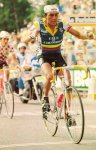 cafedecolombia_retro_winner[1].jpg