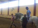 caballo.JPG