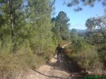 DSC01007.jpg