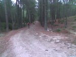 Imagen013.jpg