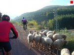 foromtb_image_19oct_01_num.jpg