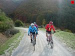 foromtb_image_19oct_05_num.jpg