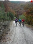 foromtb_image_19oct_06_num.jpg