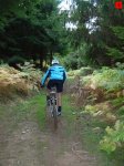 foromtb_image_19oct_09_num.jpg