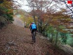 foromtb_image_19oct_12_num.jpg