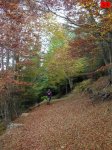 foromtb_image_19oct_13_num.jpg