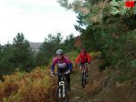 foromtb_image_19oct_14_num.jpg