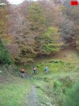 foromtb_image_19oct_15_num.jpg