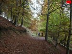 foromtb_image_19oct_16_num.jpg