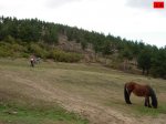 foromtb_image_19oct_18_num.jpg