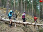 foromtb_image_19oct_20_num.jpg