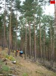 foromtb_image_19oct_21_num.jpg