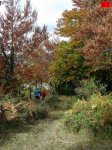 foromtb_image_19oct_27_num.jpg