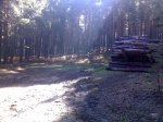 23102008282.jpg