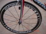 DSC04166.jpg