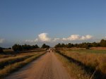 DSCN0275 (Large).JPG
