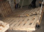 DSC02787.JPG