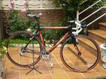 BICI.jpg