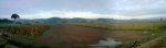 P241008_08.36.jpg