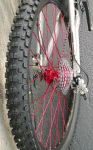 danger4[1].gif