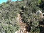 DSCN2297.jpg