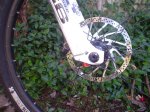 DSC00210.jpg