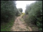 La bajada de El Palomar.jpg