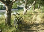 bici.JPG