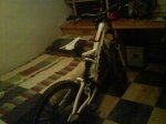 DSC00736.jpg