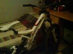 DSC00737.jpg