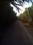 PA190010 [Resolucion de Escritorio].JPG