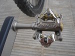 DSC01556.jpg