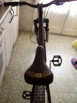 mi bike 010.jpg