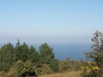 100_0244.jpg