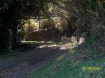 100_0246.jpg
