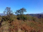 251020081038.jpg