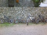 DSC07993.jpg