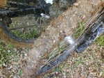 DSC07997.jpg