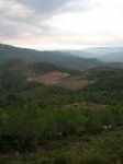 DSCN6313.JPG