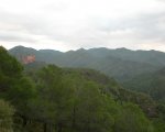 DSCN6316.JPG