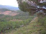 DSCN6317.JPG