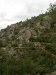DSCN6368.JPG