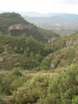 DSCN6390.JPG